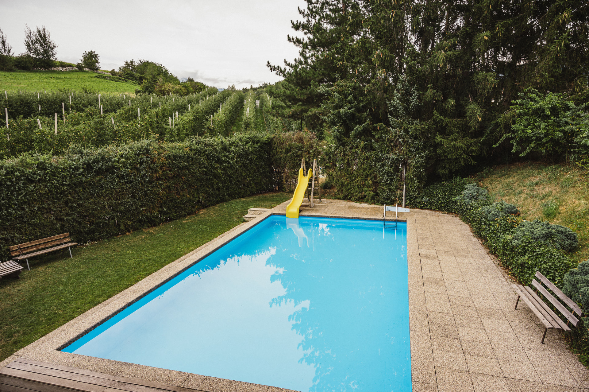 Piscina riscaldata del Sonnenhof